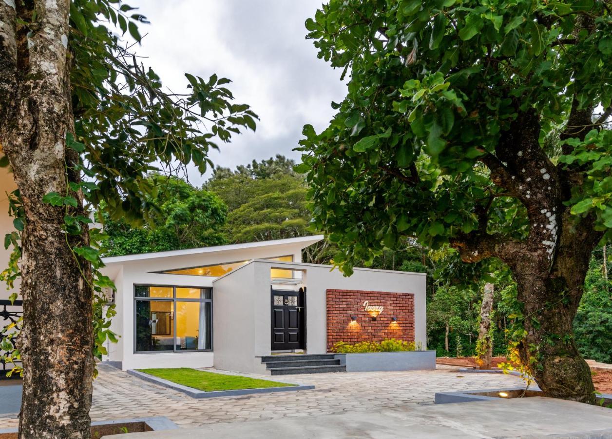 Vismita County Hotel Chikmagalur Ngoại thất bức ảnh